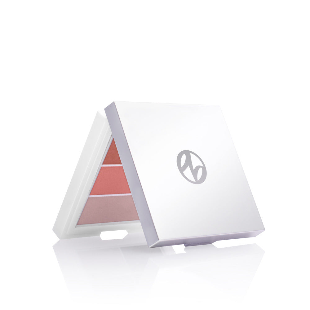 3 in 1 Powder Blush Palette