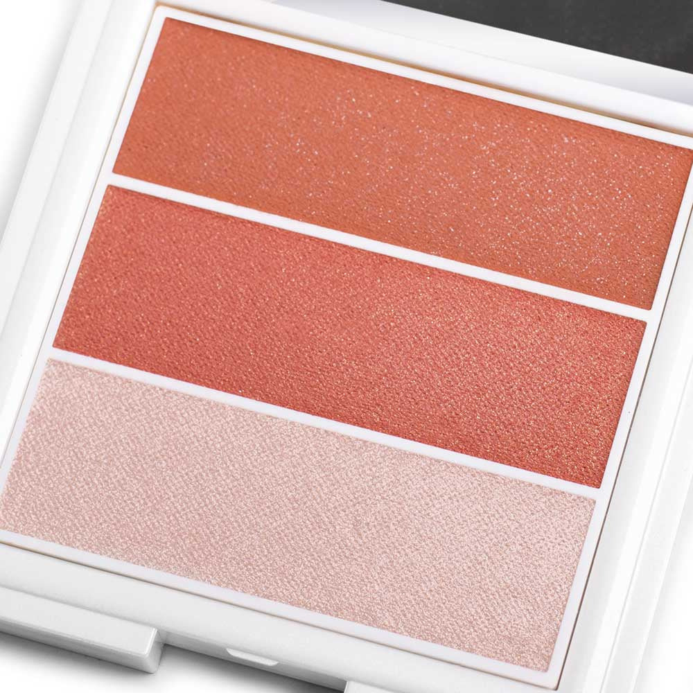 3 in 1 Powder Blush Palette