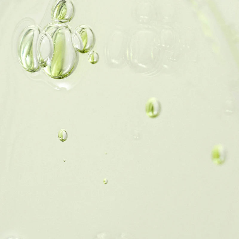 Beauty of Joseon Calming Serum Green Tea+Panthenol