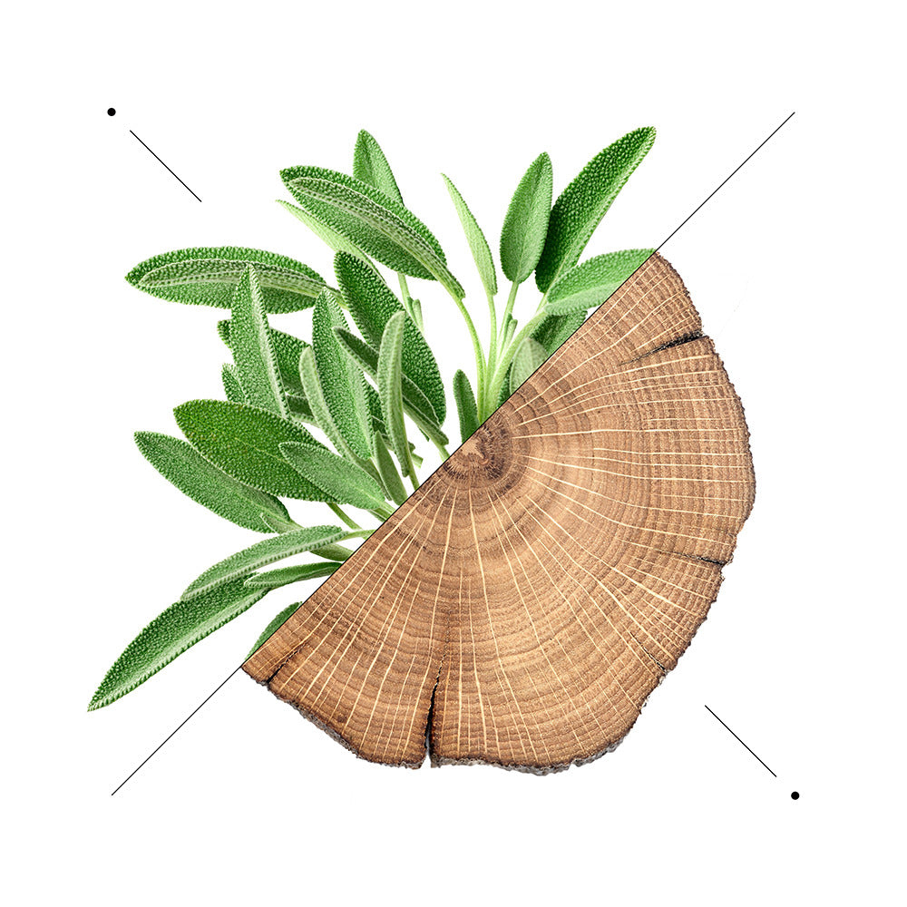 Perfume Men M041 - Inspired by Carolina Herrera Bad Boy