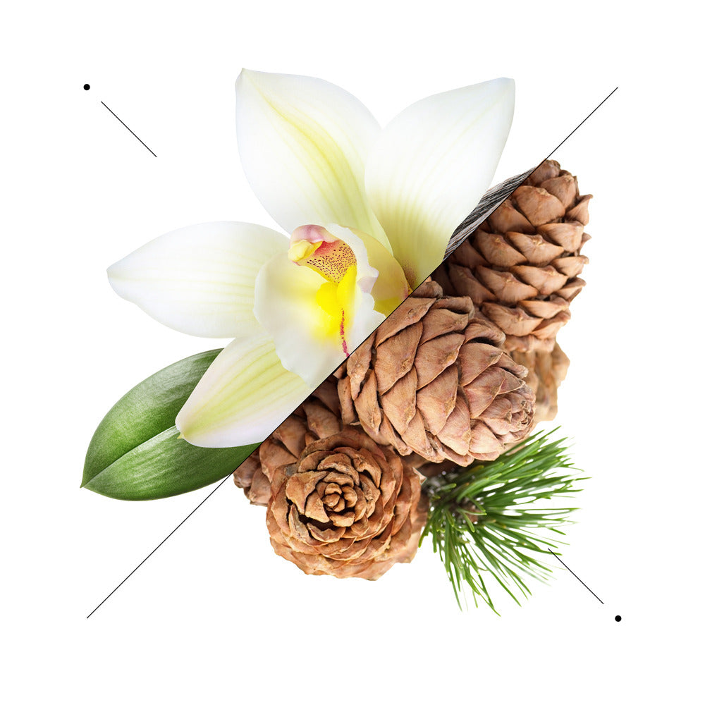 Perfume Men M044 - Inspired by Dior Homme Intense