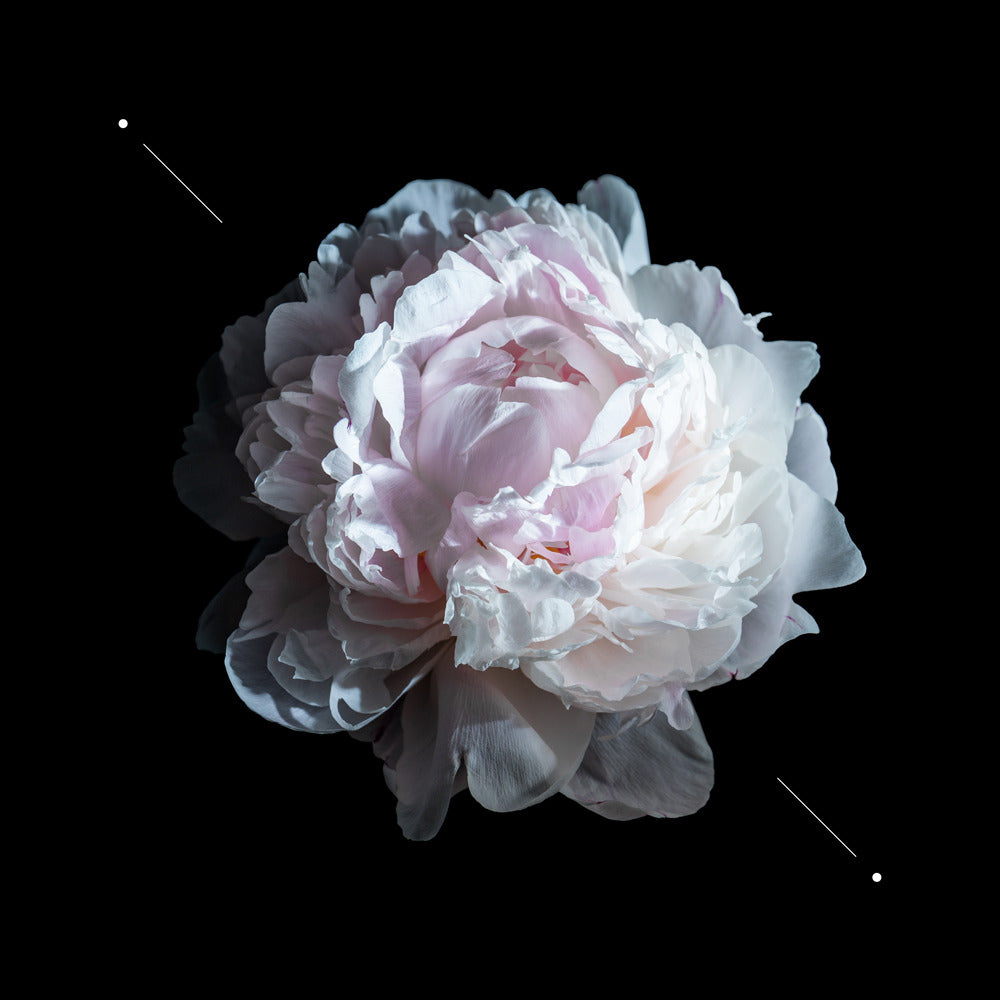 Perfume women W190 - Inspired by Yves Saint Laurent Parisienne